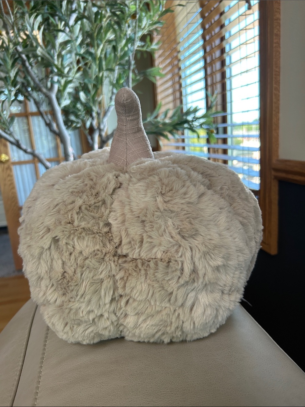 Plush Faux Fur Pumpkin Pillow NWT